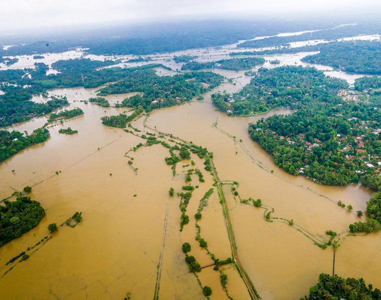 Affected bio diversity may cause calamities...