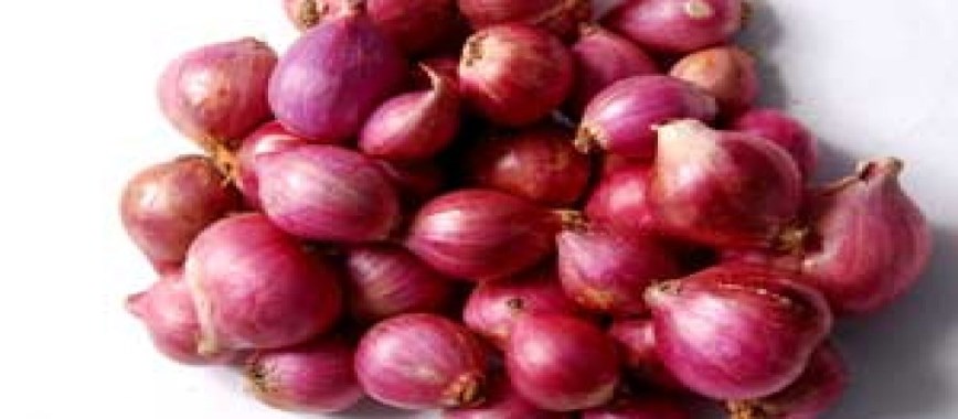 small onions-cultivated-a-hundred-and-become-profitable