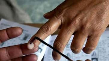 Jammu and Kashmir Panchayat polls Article 35 A