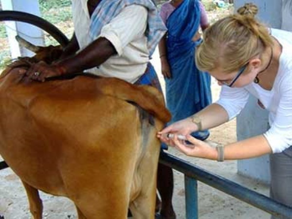 disease and prevention techniques animals