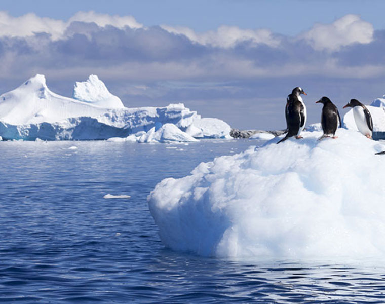 Giant hole reopens in Antarctic ice for the first time in 40 years