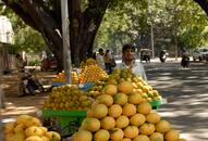 Maharashtra Alphonso mango growers bypass APMC, choose to sell produce directly to buyers