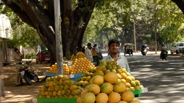 Maharashtra Alphonso mango growers bypass APMC, choose to sell produce directly to buyers