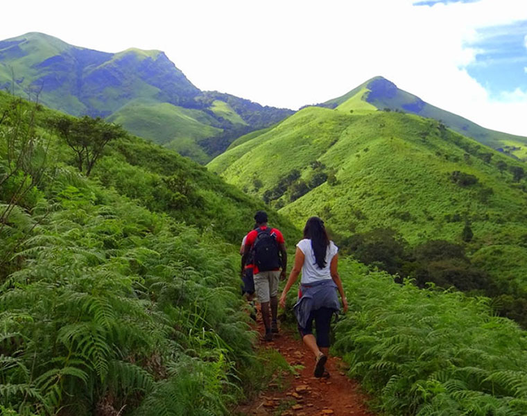 Six Bengaluru students rescued from forest after losing their way during trekking