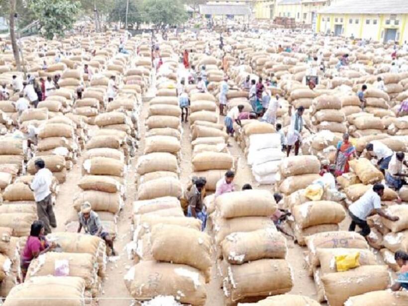 Cotton price: సిరులు కురిపిస్తున్న తెల్ల బంగారం.. తెలుగు రాష్ట్రాల్లో పత్తికి రికార్డు ధర..