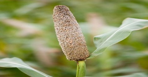 Save the rye rays and restrict this method