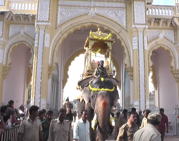 arjuna elephant practice for ambari