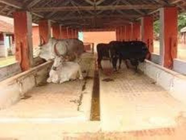 Cleaning maintenance in shelter