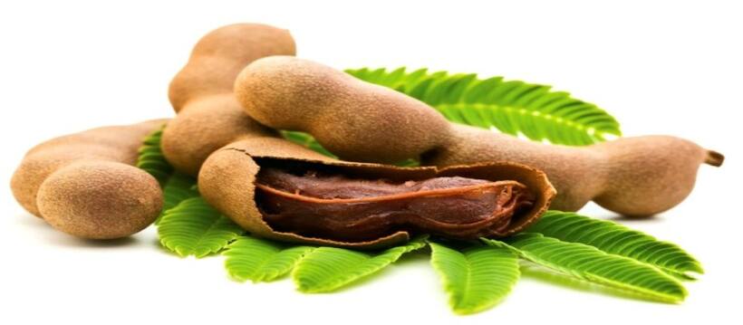 Weight Loss Tips: చింతపండుతో కూడా బరువు తగ్గుతారన్న సంగతి మీకు తెలుసా..