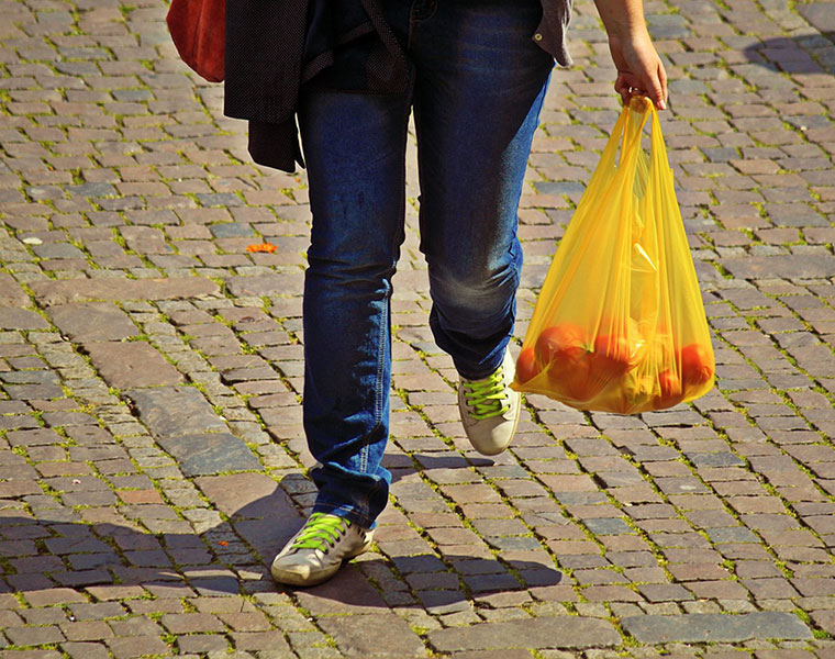 A Very Hungry Caterpillar Eats Plastic Bags Researchers Say