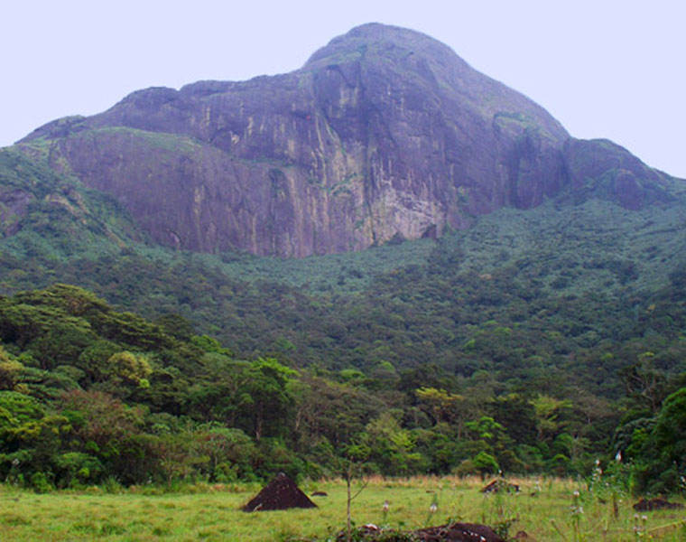 Agasthyarkoodam Season Trekking Online Registration Begins details asd