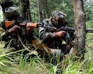 पाकिस्तान के सीजफायर तोड़ने पर भारतीय सेना ने कई पाकिस्तानी सैनिक मारे