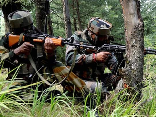 Security forces hit ton with terror killings in Kashmir this year