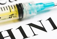 Karnataka H1N1 alert deaths reported many test positive