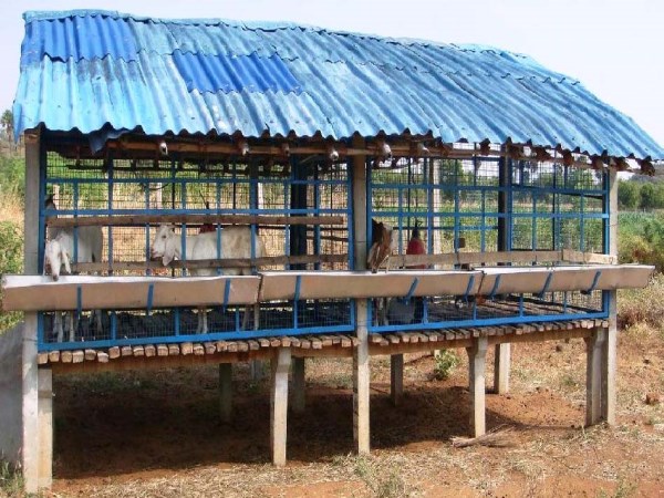 At what level do the floor roof gate of the shed go?