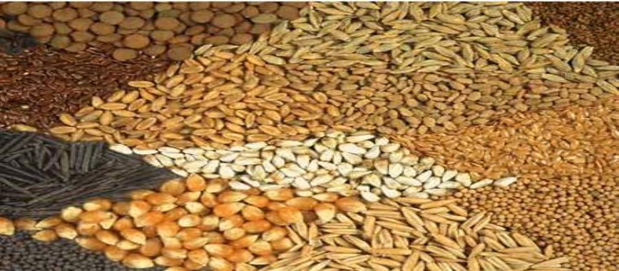 want to-increase-the-production-of-pulses-here-are-the