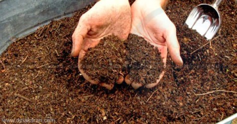 This method of making fertilizer with earthworms is welcome.