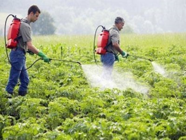 Be careful while using pesticides