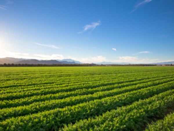 Learn these techniques in agriculture! Very helpful