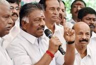 Tamil Nadu Deputy chief minister's brother sacked from AIADMK