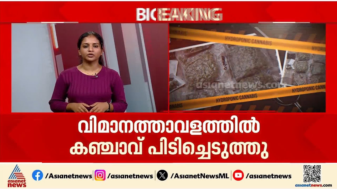 തിരുവനന്തപുരം വിമാനത്താവളത്തിൽ വൻ കഞ്ചാവ് വേട്ട; 2 കോടിയോളം വിലമതിക്കുന്ന കഞ്ചാവ് പിടികൂടി