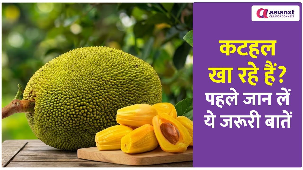 Jackfruit Tips: खतरनाक हो सकता है कटहल खाना! पहले जान लें ये जरूरी बातें...