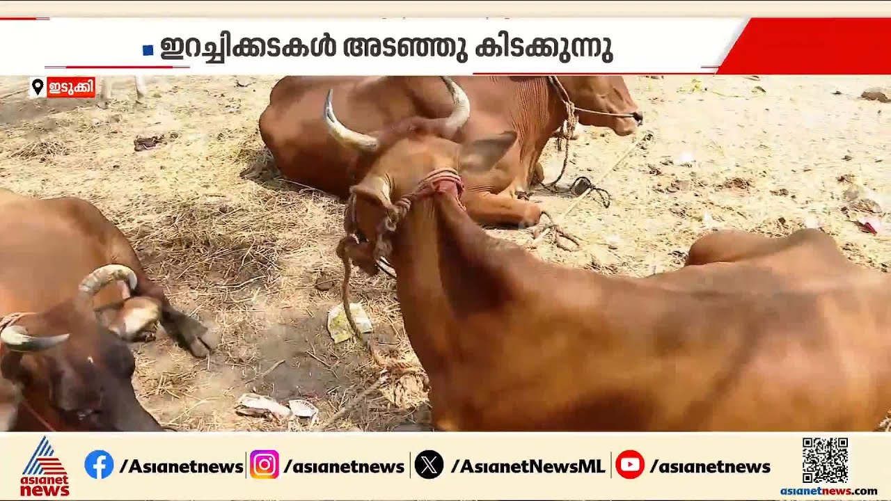 അറവുമാടുകൾ എത്തുന്നില്ല; സംസ്ഥാനത്ത് മാട്ടിറച്ചി ക്ഷാമം രൂക്ഷം