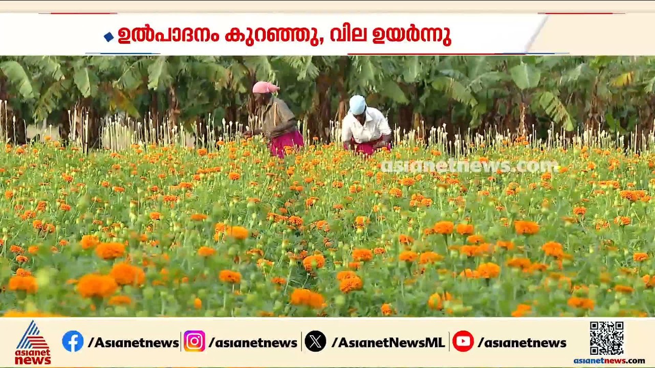 മലയാളിക്ക് ഓണം കളറാക്കാൻ പൂക്കളെത്തിക്കാൻ ശീലയംപെട്ടിയുമുണ്ട് | Onam Celebration | Flowers
