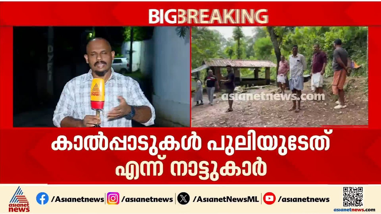 കണ്ണൂരിൽ പുലി ഭീതി; പശുക്കിടാവിനെ കടിച്ചുകൊന്നു, നാട്ടുകാർ ആശങ്കയിൽ