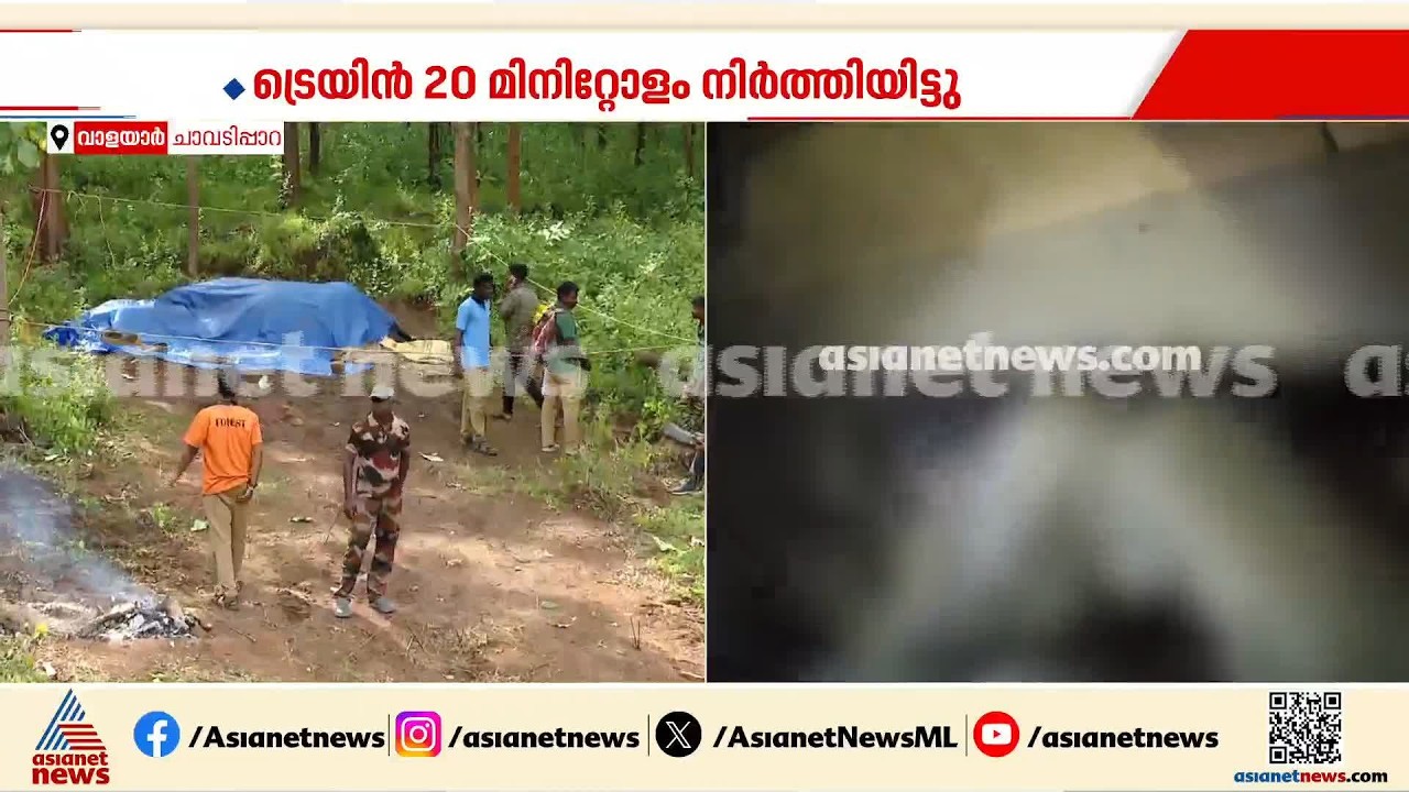 റെയിൽവേ ട്രാക്ക്  കുറുകെകടക്കുന്നതിന് ഇടയിൽ പിടിയാനയും കുഞ്ഞും ട്രെയിൻ തട്ടി ചെരിഞ്ഞു