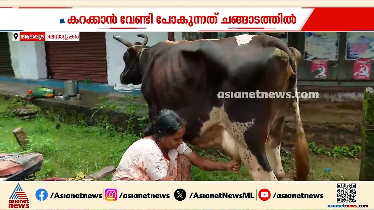 'കഴുത്തൊപ്പം വെള്ളത്തീന്നാ ഇങ്ങോട്ട് വന്നത്';പ്രളയത്തിനിടെ വളർത്തുമൃ​ഗങ്ങളുടെ പരിപാലനം പ്രതിസന്ധിയിൽ