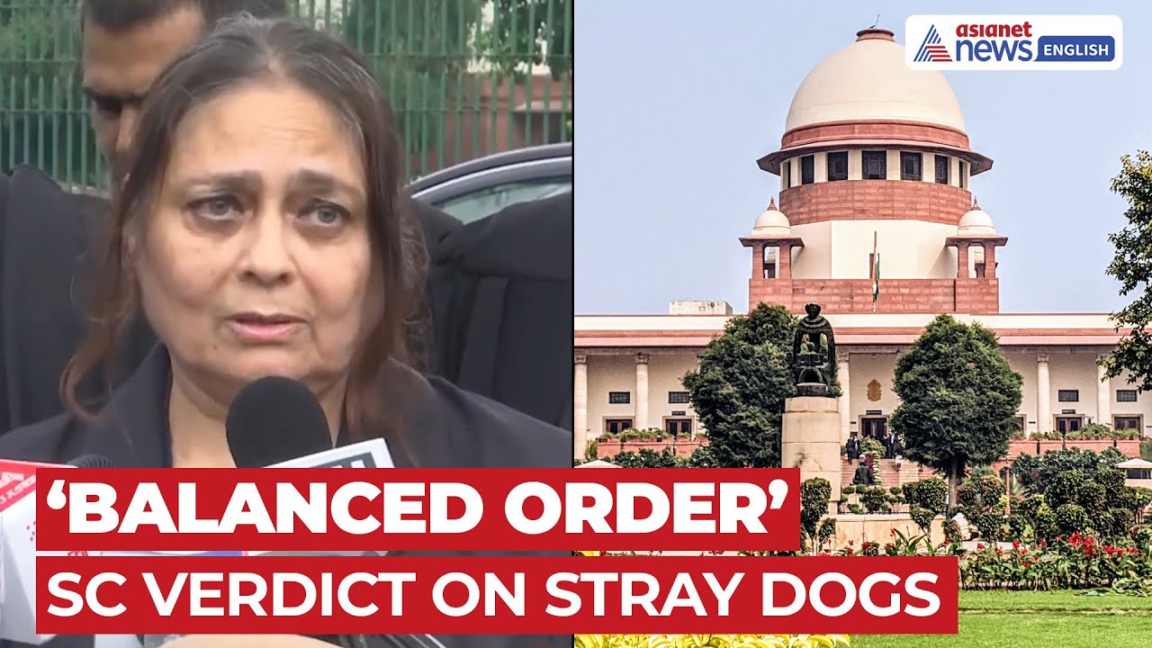 SC Order On Stray Dogs: Petitioner Nanita Sharma Welcomes ‘Balanced’ Verdict