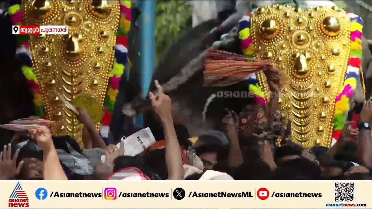 'നാനാത്വത്തിൽ ആനത്വം'; പൂരത്തിന് പ്രൗഢിയോടെ അണിനിരന്ന് ഗജവീരന്മാർ