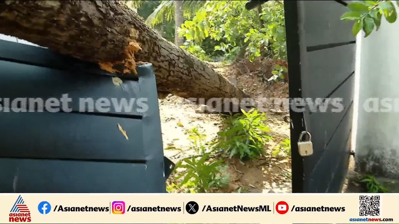 കനത്തമഴയും കാറ്റും; എറണാകുളത്ത് പലയിടങ്ങളിലായി വൈദ്യുതി പോസ്റ്റുകളിലേക്ക് മരം മറിഞ്ഞുവീണു
