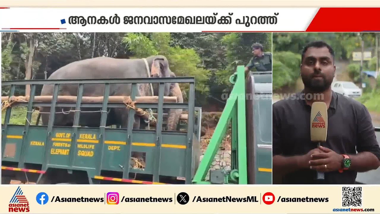 കാട്ടാന ആക്രമണത്തിൽ സ്ത്രീ മരിച്ച മേപ്പാടിയിൽ ജാഗ്രത തുടരുന്നു