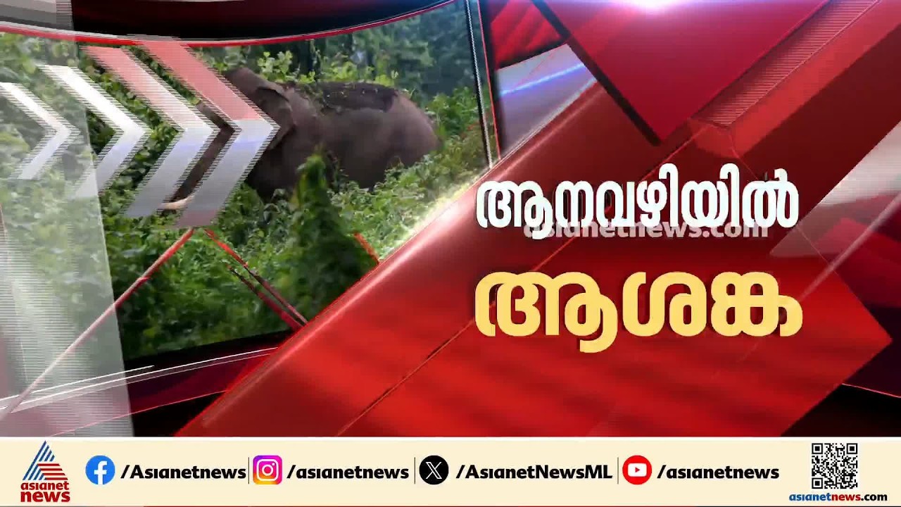 'ആനത്താരകൾ പ്രധാനം, തടസ്സം പാടില്ല'; സുപ്രീം കോടതി