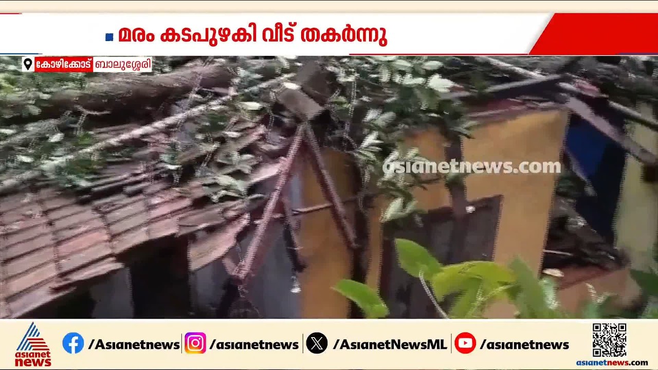 കോഴിക്കോട് ശക്തമായ മഴയിൽ മരം വീടിന് മുകളിൽ കടപുഴകി വീണു; ദമ്പതികൾക്ക് പരിക്ക് | Heavy Rainfall
