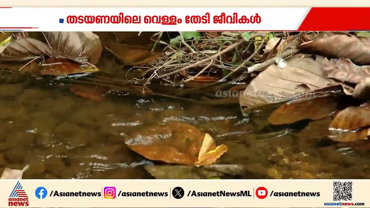 കൊടുംവേനലിൽ വന്യജീവികൾക്ക് ആശ്വാസമാകുന്ന തടയണകൾ