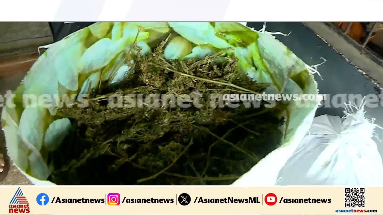 40 കിലോ കഞ്ചാവുമായി കാറിൽ പാഞ്ഞ് യുവാക്കൾ, പൊലീസ് വാഹനത്തെ ഇടിച്ചിട്ട് രക്ഷപ്പെടാൻ ശ്രമം