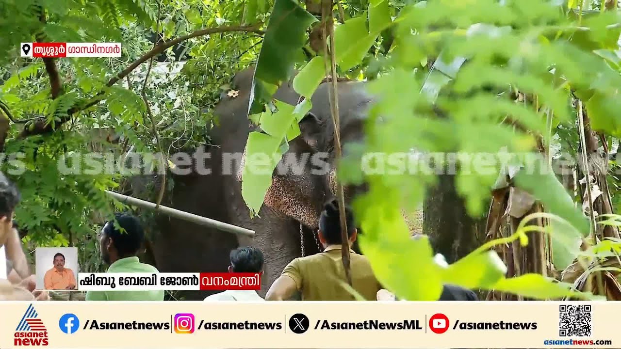 എലഫെന്റ് സ്‌ക്വാഡ് ഉടന്‍ എത്തും; ആവശ്യമെങ്കില്‍ മയക്കുവെടി വെക്കാന്‍ വനംമന്ത്രി നിര്‍ദേശം നല്‍കി