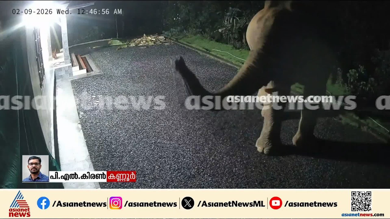 ആരാ..എന്താ ഇവിടെ? കണ്ണൂർ കേളകം ശാന്തിഗിരിയിൽ വീട്ടുമുറ്റത്ത് നിലയുറപ്പിച്ച് കാട്ടാന