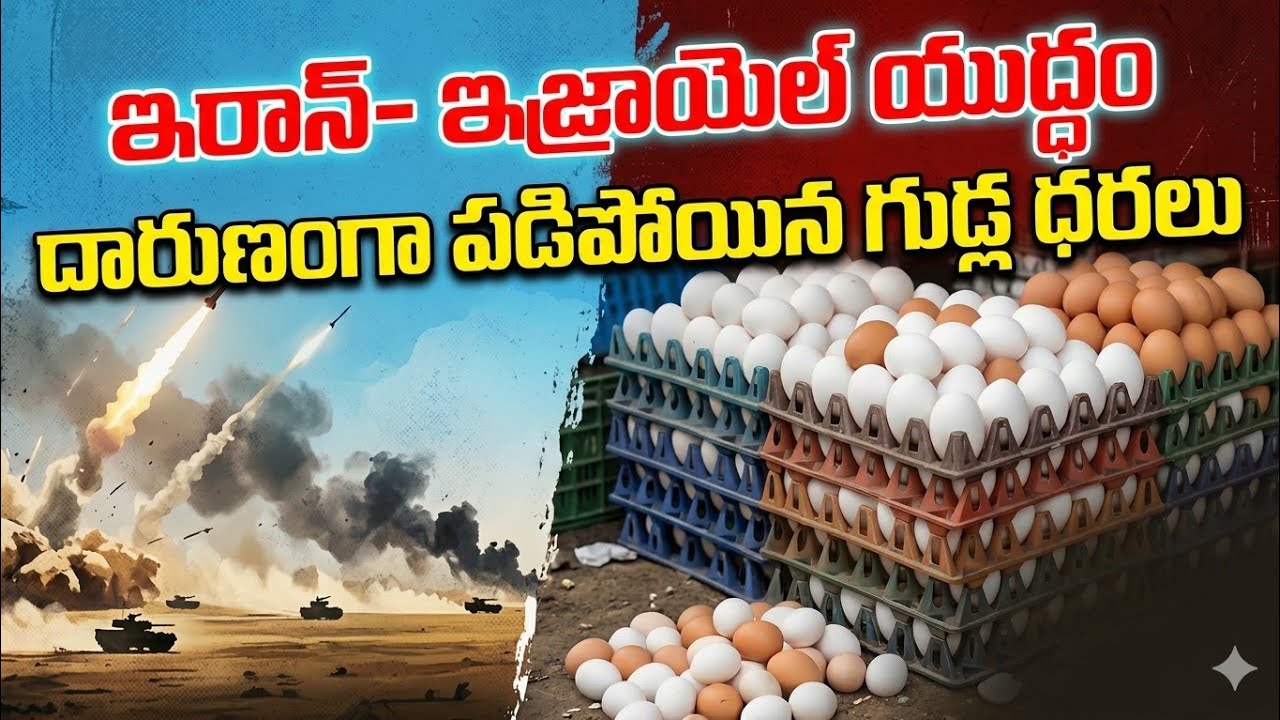 Iran Israel War: తెలుగు రాష్ట్రాల్లో గుడ్ల ధరలు ఎంతో తెలుసా? | Eggs, Chicken Price | Asianet Telugu