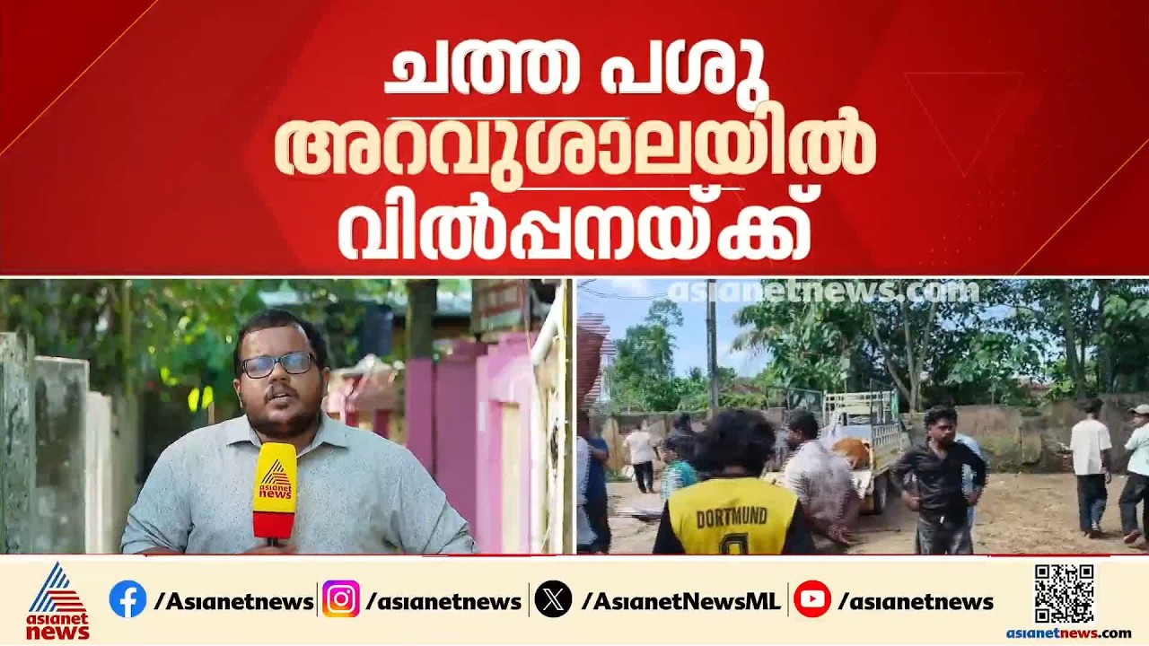 ചത്ത പശുവിനെ അറവുശാലയിൽ എത്തിച്ചു വിൽപ്പന; അന്വേഷണവുമായി കായംകുളം ന​ഗരസഭ