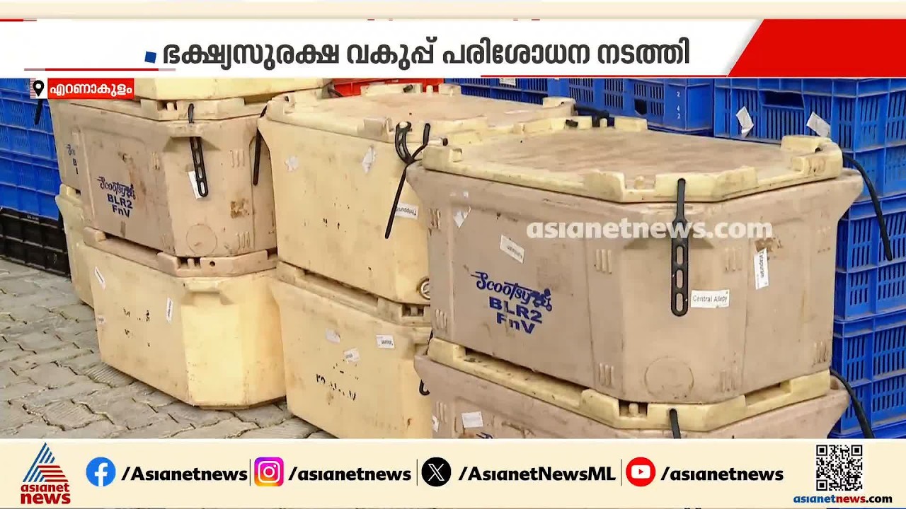 പഴകിയതും നാറുന്നതുമോ ഇൻസ്റ്റമാർട്ടിൽ?; കൊച്ചിയിലെ ​ഗോഡൗണിൽ പരിശോധന