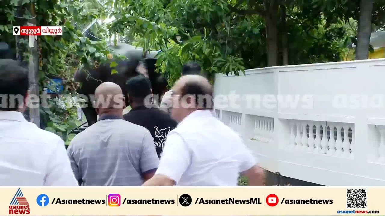 തൃശ്ശൂര്‍ നഗരത്തില്‍ പരിഭ്രാന്തി പരത്തി ശിവം ലക്ഷ്മി അയ്യപ്പന്‍ എന്ന ആന