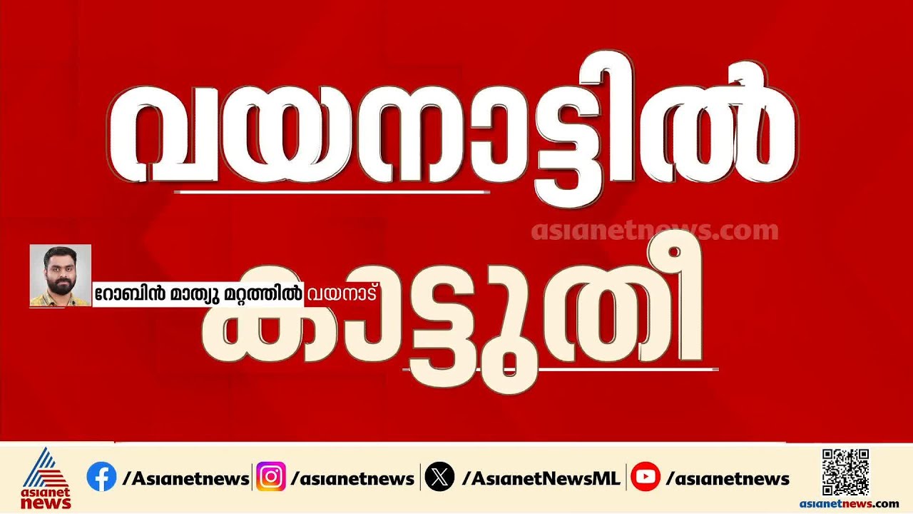 വയനാട് സുഗന്ധഗിരി വനമേഖലയിൽ പടർന്ന കാട്ടുതീ നിയന്ത്രണ വിധേയമാക്കി