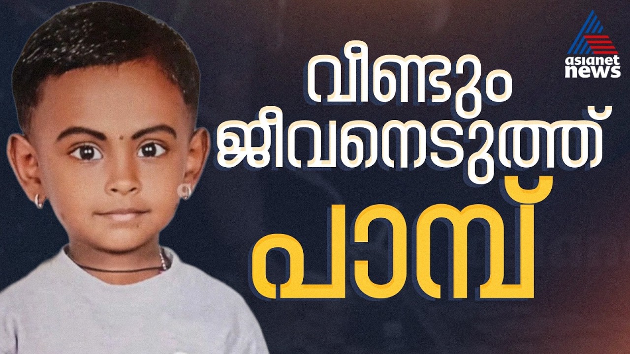 പാമ്പ് കടിയേറ്റ് ചികിത്സയിലായിരുന്ന നാലര വയസുകാരി ഋതു ചന്ദ്രക്ക് ദാരുണാന്ത്യം | Snake Bite