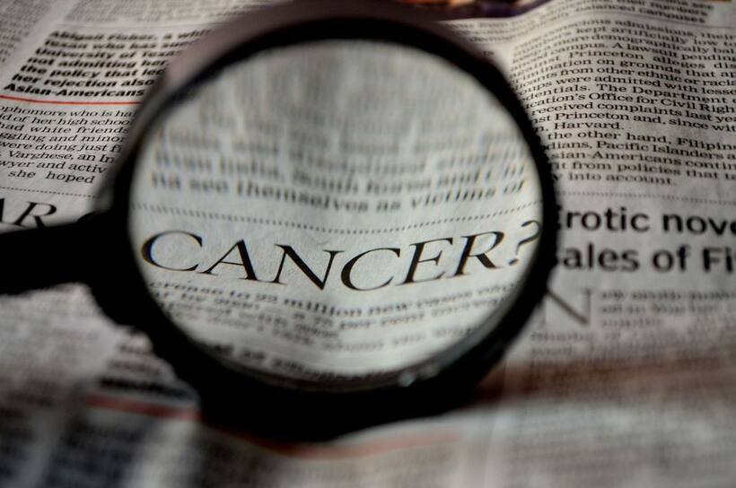 https://stocktwits.com/news articles/markets/equity/moleculin gets ema nod for leukemia trial retail bullish/chi8IGxRbmt