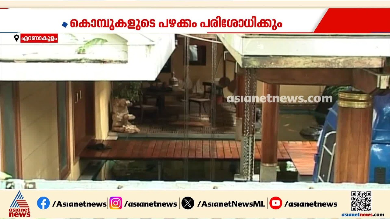 നാല് അല്ല ആറ് ആനക്കൊമ്പുകൾ; മൂന്ന് ജോഡികളുടെ വിവരങ്ങൾ ഹാജരാക്കാൻ മോഹൻലാലിന് നിർദേശം