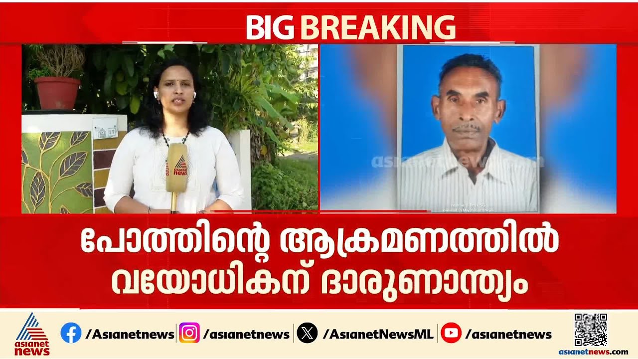 പോത്തിന്റെ ആക്രമണത്തിൽ വയോധികന് ദാരുണാന്ത്യം